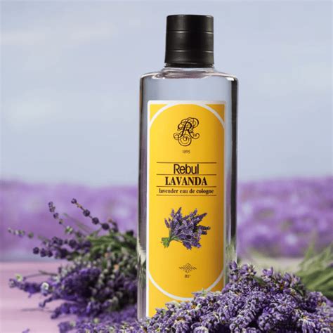 rebul lavanda